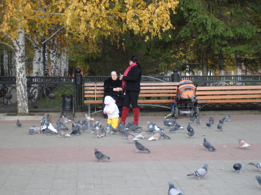 Осень и голуби