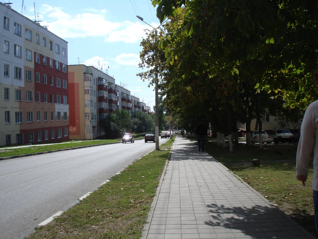 улица Кривошеина