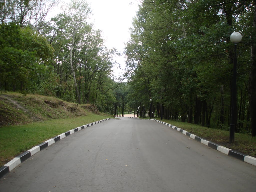 В парк
