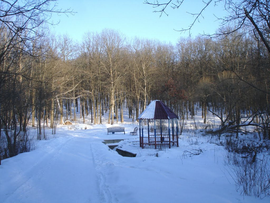 Родник