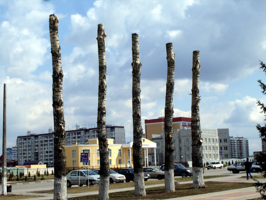 Пять болванов и прокуратура