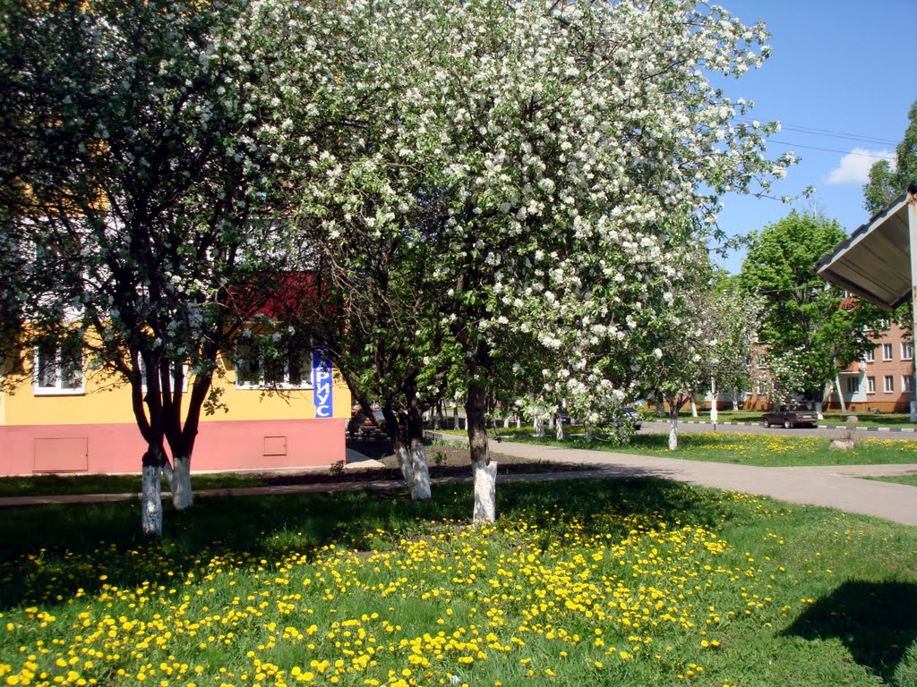 Май 2011