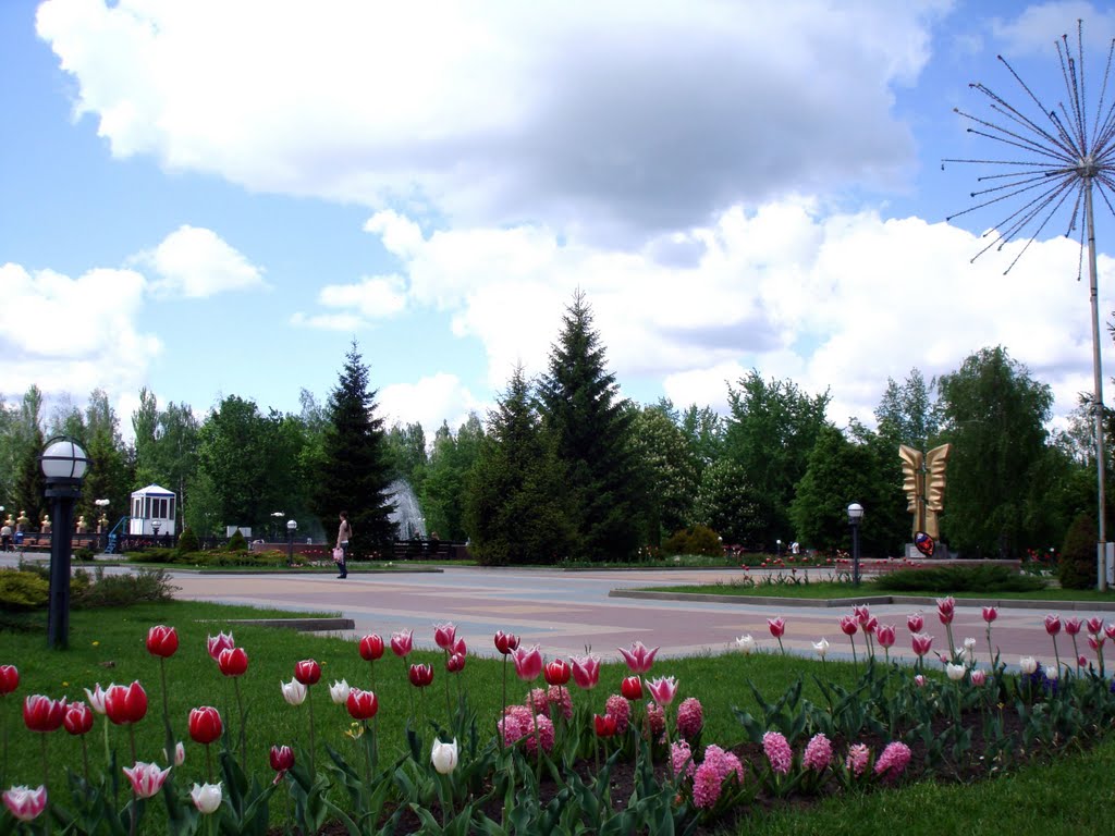 Цветущая площадь
