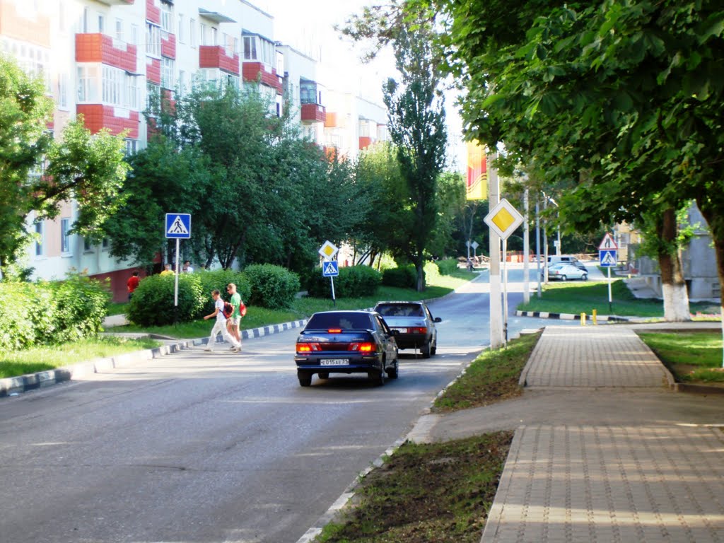 В парк (ул. Кривошеина)