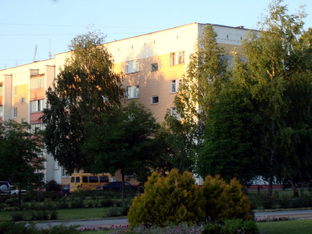 ул. Ленина 13а