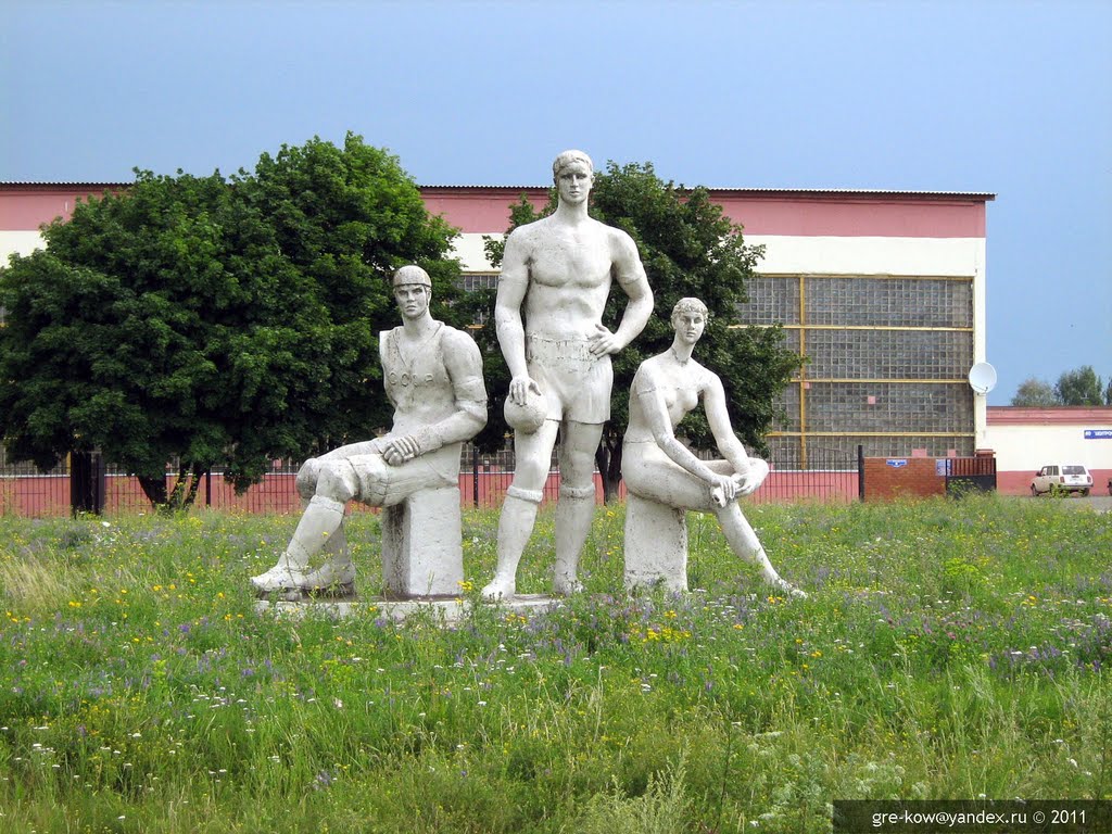 The hockey player, the volleyball player and the gymnast / хоккеист, волейболист и гимнастка