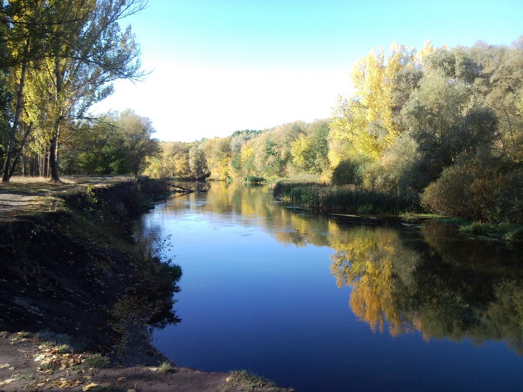 Река Оскол в районе Чернянки