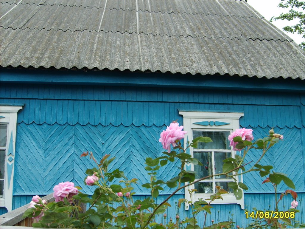 Дом в Салтановке