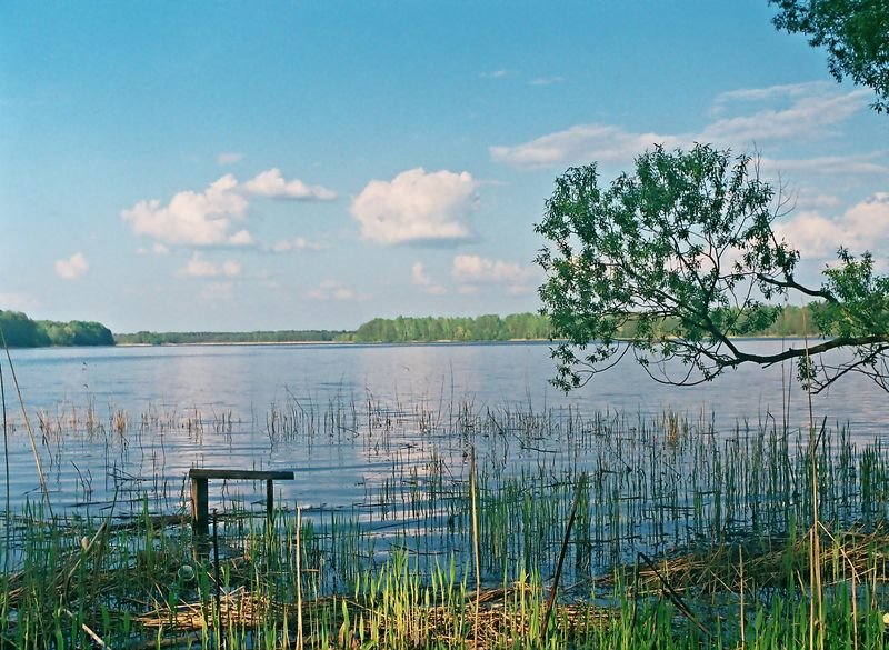 Вид на водохранилище