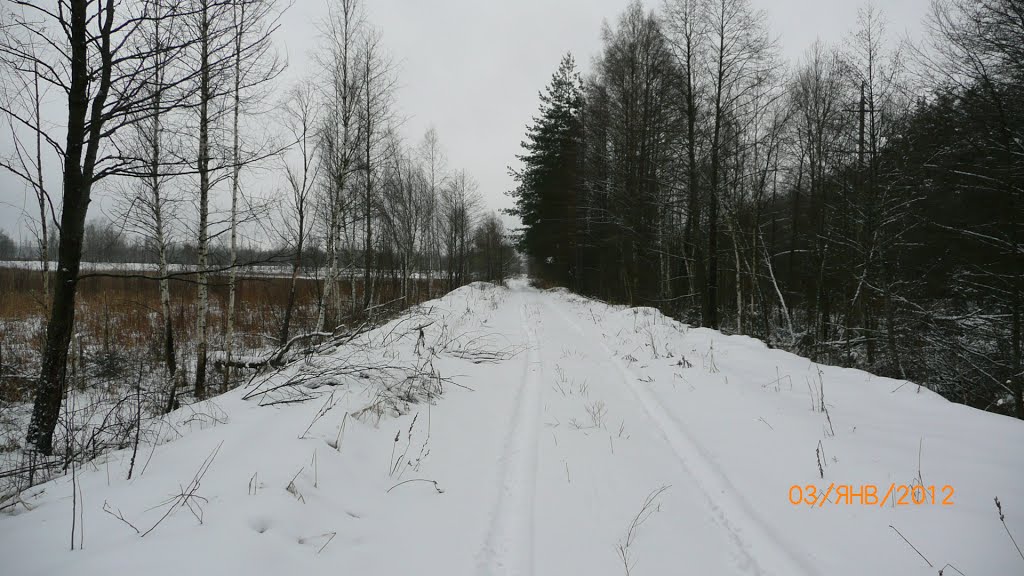 Дорога к ГРЭС со стороны леса