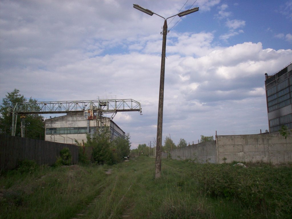 Природа отвоюет своё