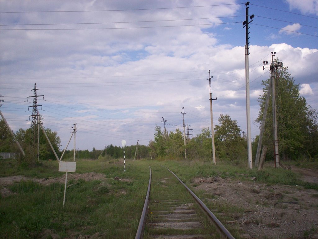 дорога не в Дудорово