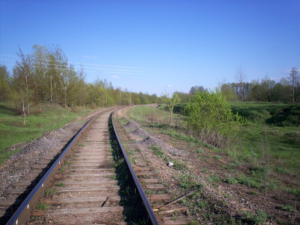 Колея