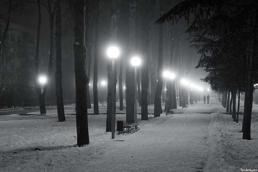 Park at night