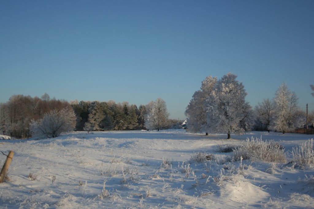 Lenina str