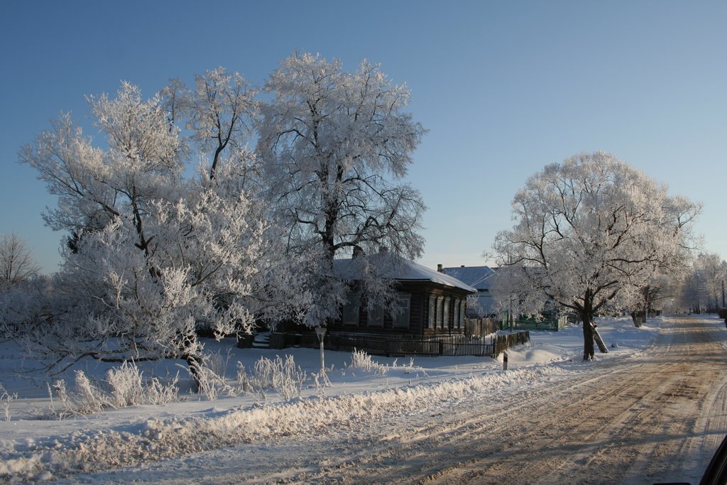 Old house frozen