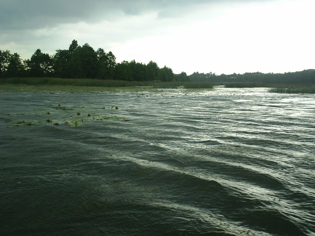 Rain on the lake