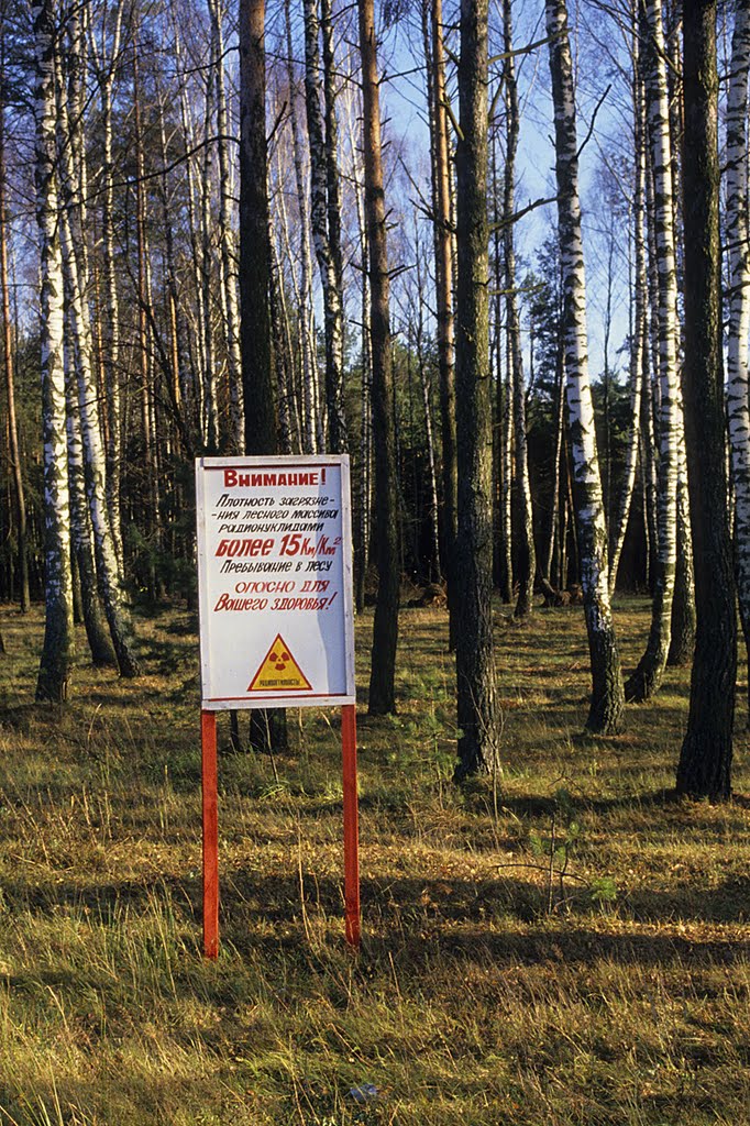 Sur la route de Zlynka, (zone contaminée)