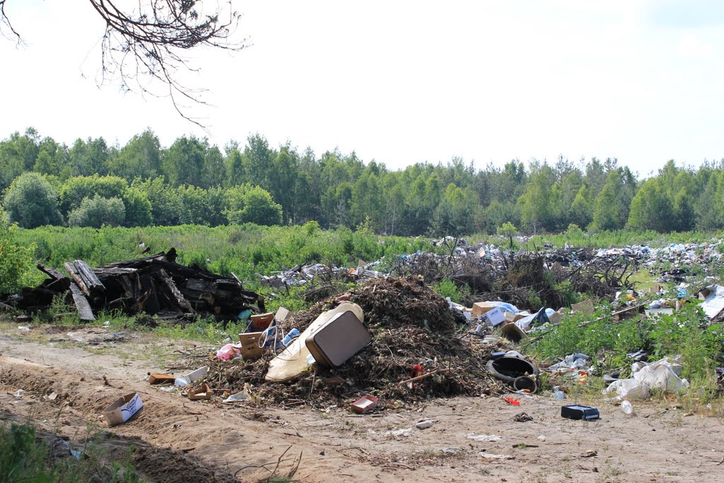 г.Злынка,Брянская область 2011 год