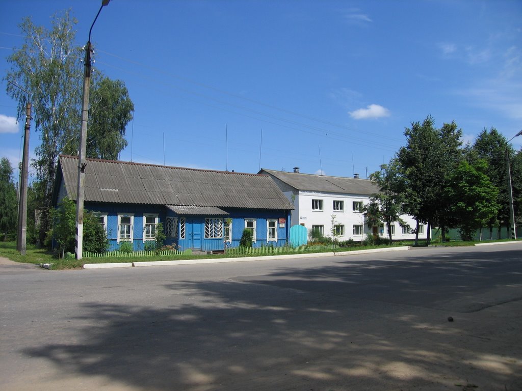 Library in Dubrovka