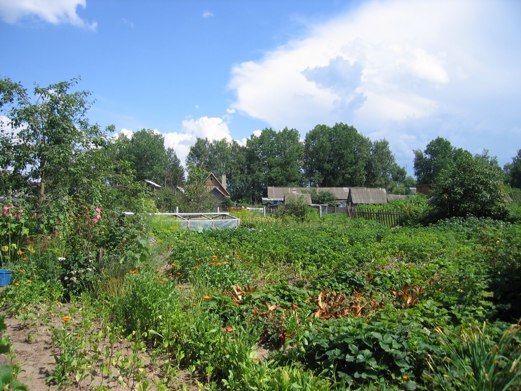 Garden in Dubrovka