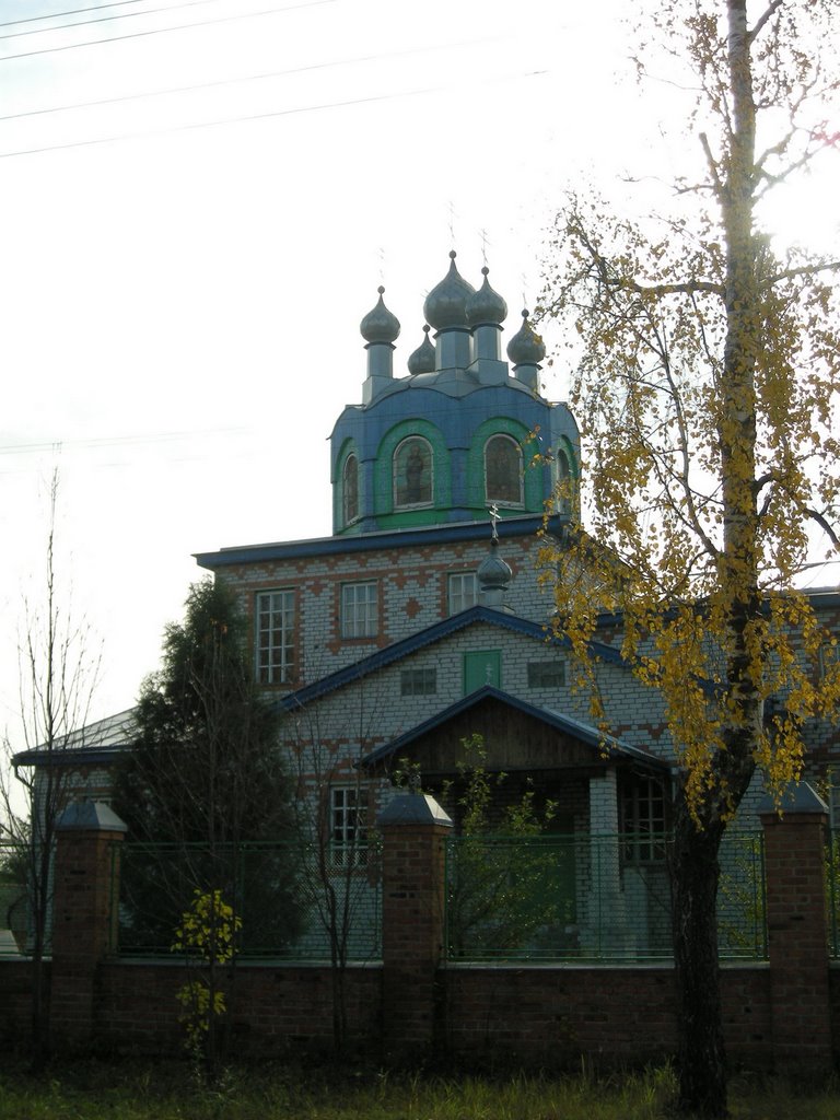 Rognedino