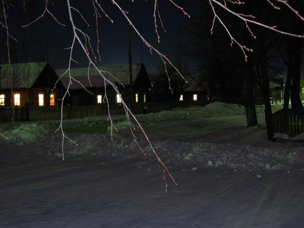Dubrovka.Winter.Night (S.Tarapov)