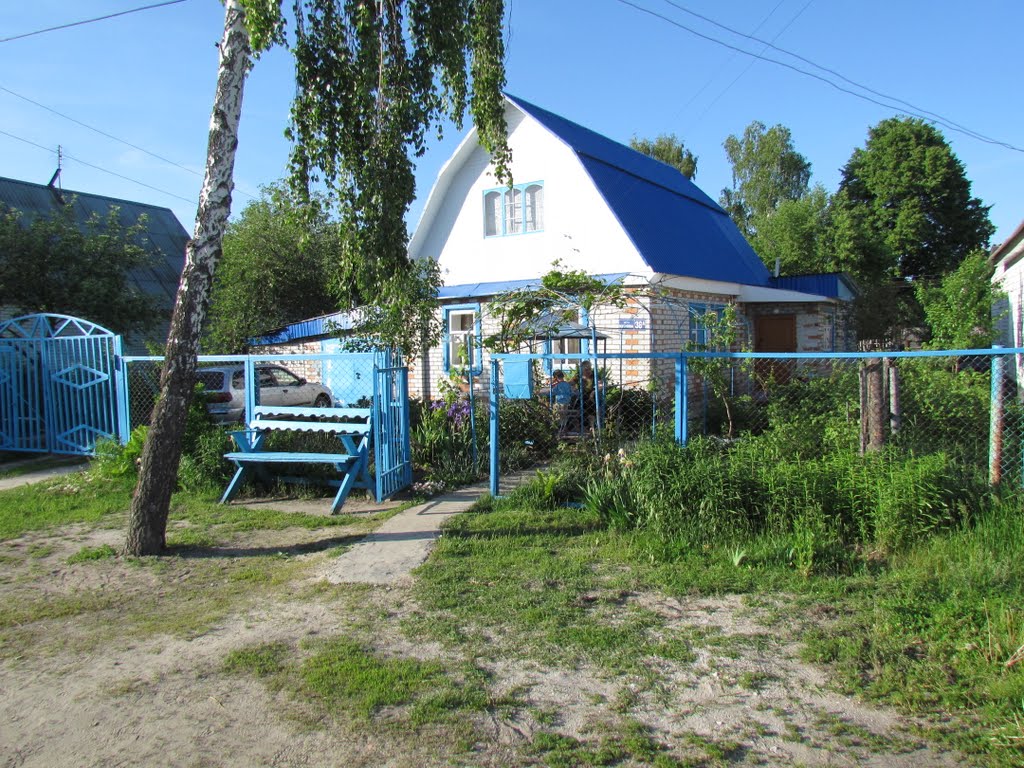 Кирова 38