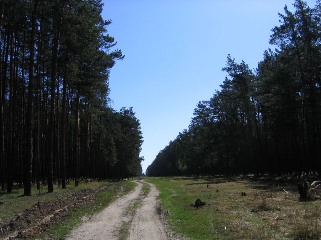 Просека