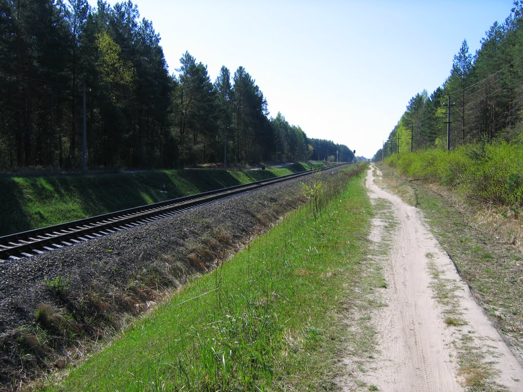 Железная дорога