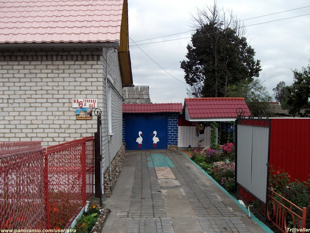 гуси