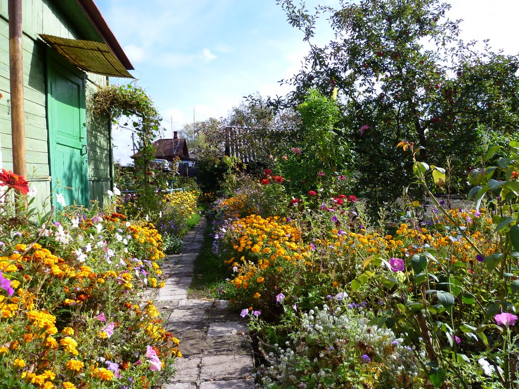 Autumn garden