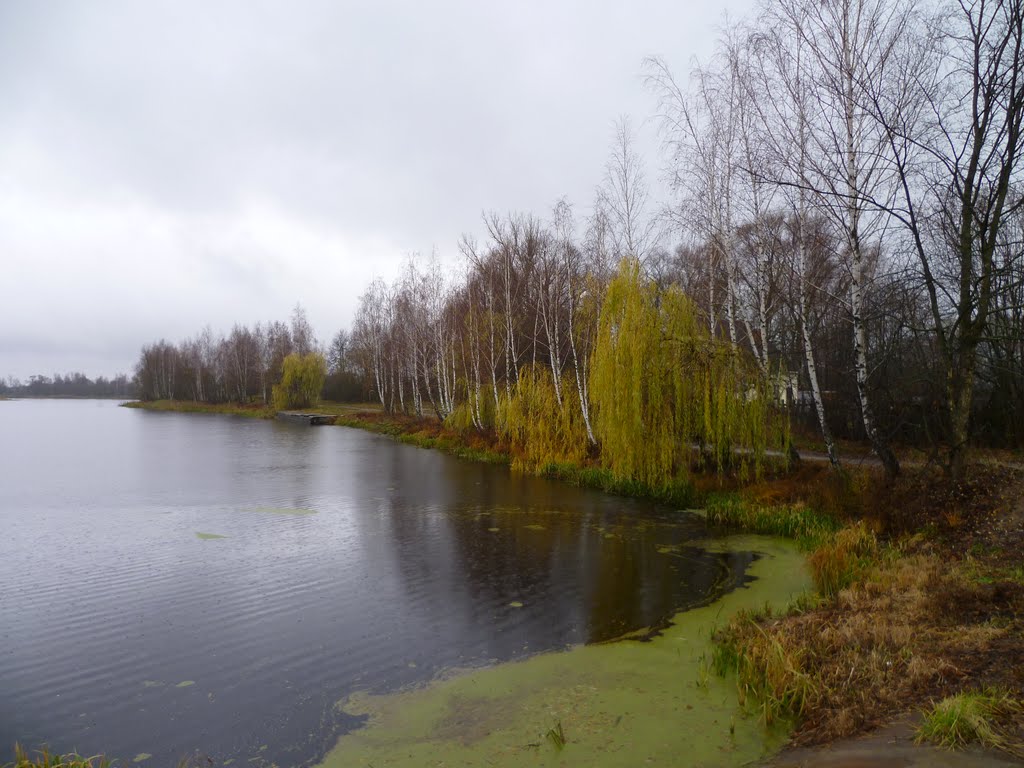 The Lake