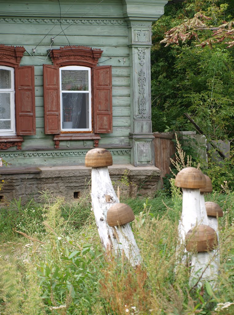 Грибы навсегда / Mushrooms forever