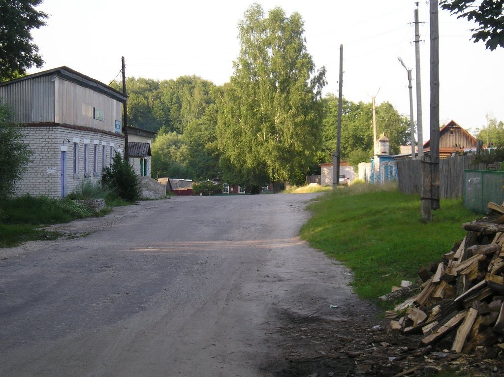 Дрова на ул.Чапаева