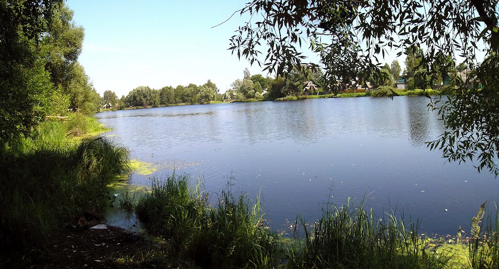 Панорама Базарского озера