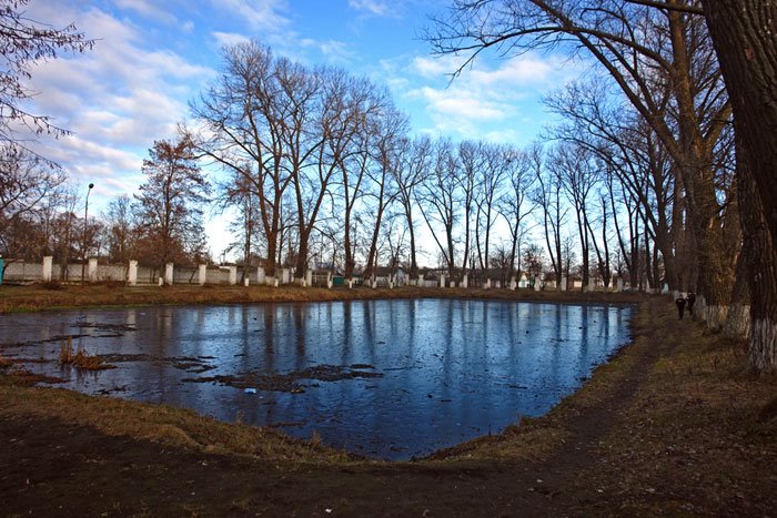 Пруд в городском парке