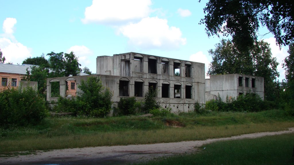 [СВ] стены детского сада рядом с парком им.Дзержинского