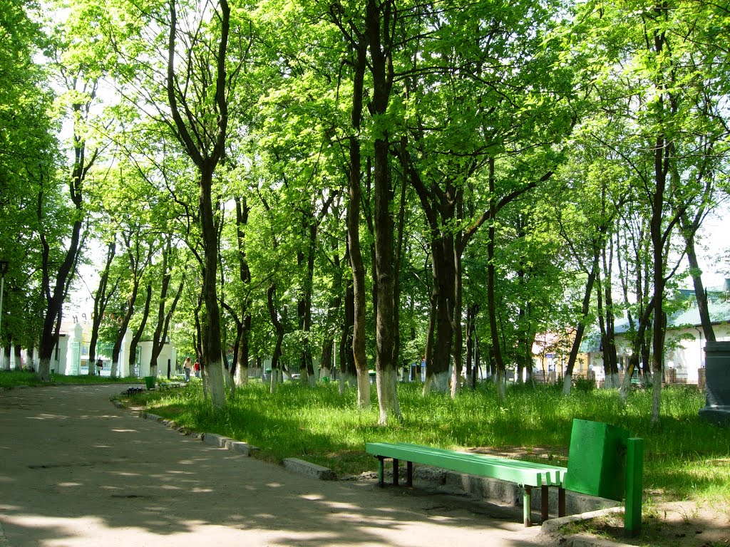 в парке