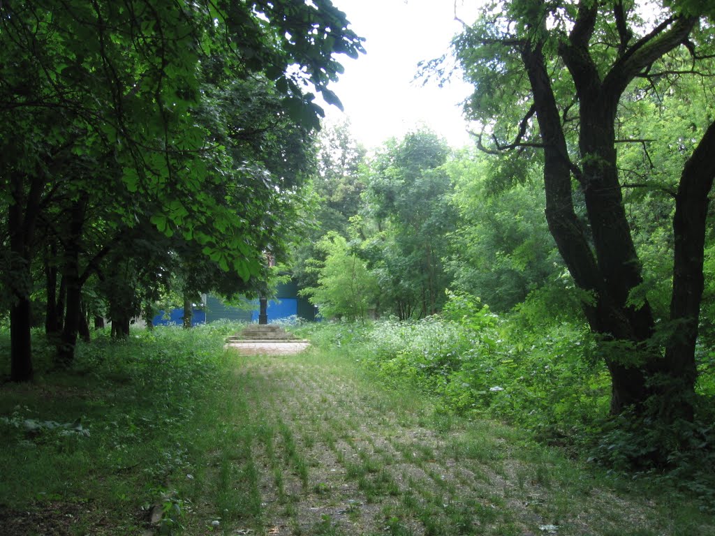 Без названия