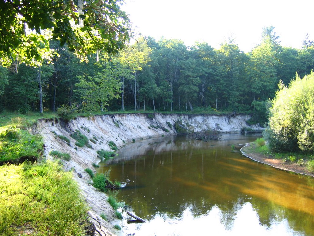 Река Снежеть / Snezhet River
