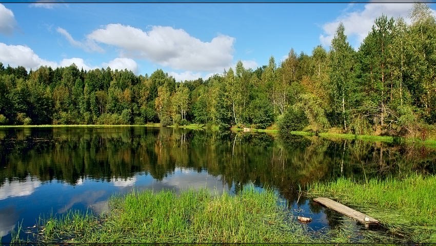 lesnoe ozero