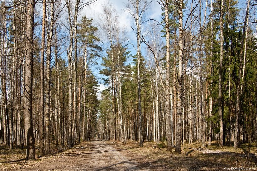Древняя дорога