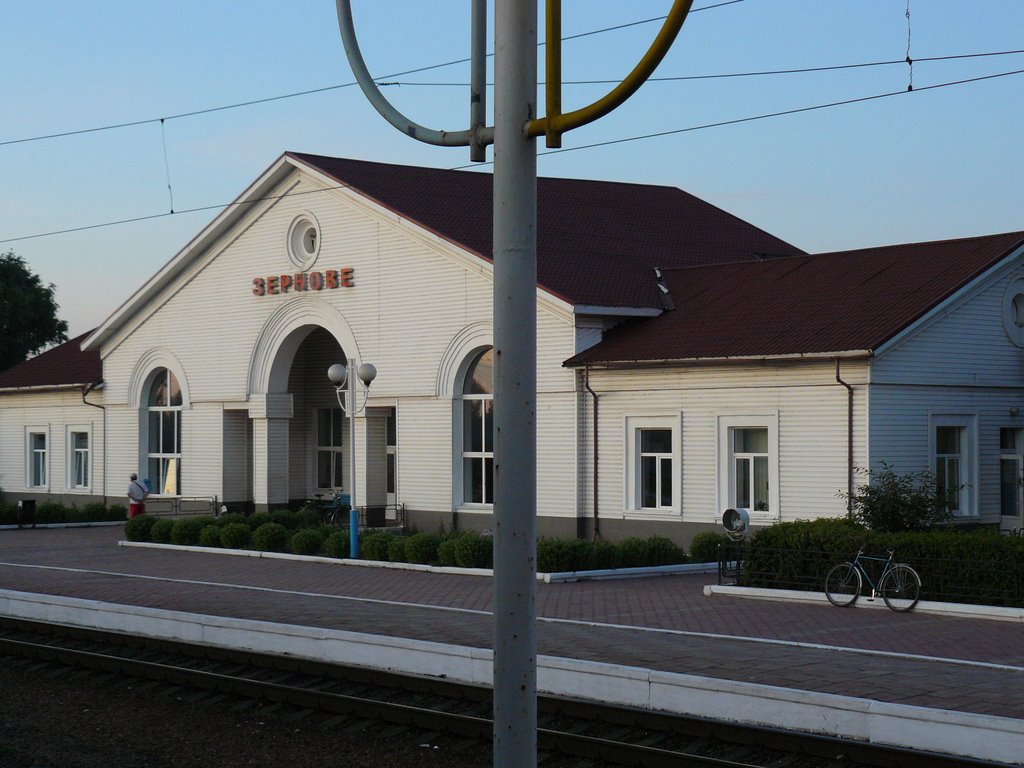 ЗЕРНОВЕ УКРАИНСКИЙ ПАСПОРТНЫЙ КОНТРОЛЬ