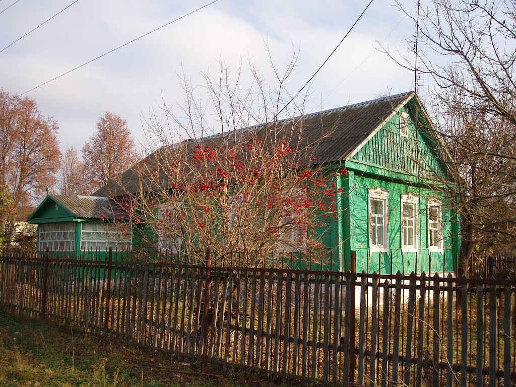 Домик в деревне (ул. Комсомольская, Комаричи)