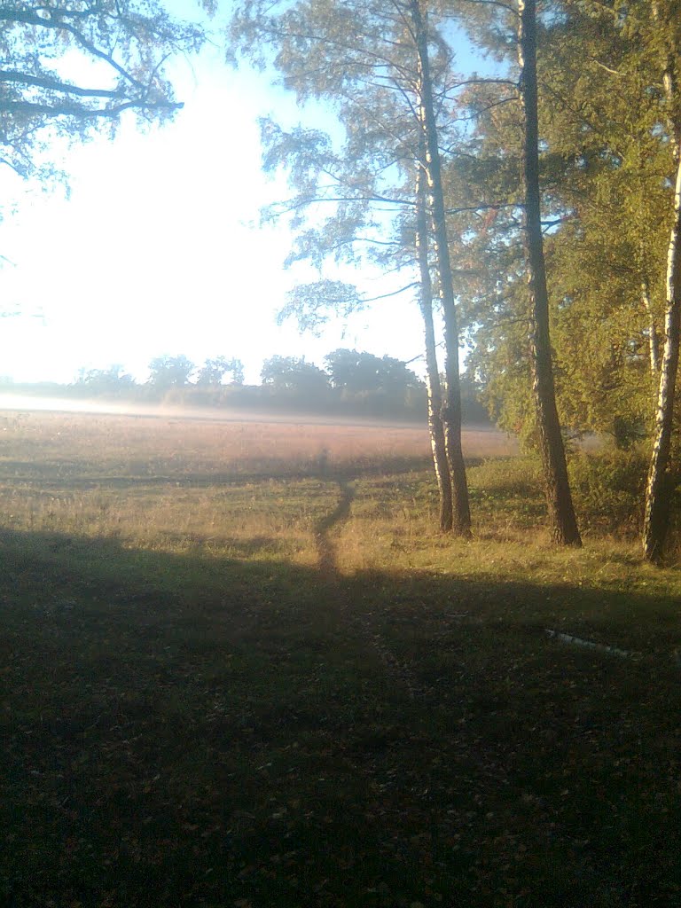 Марьинка-Комаричи