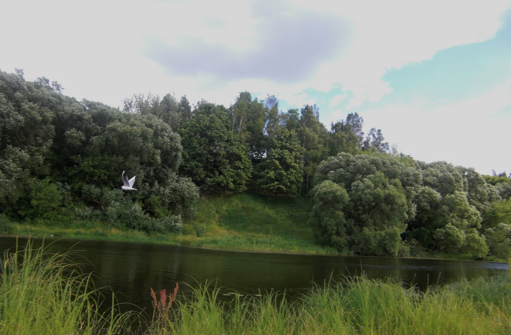 Река Беседь "Городок"