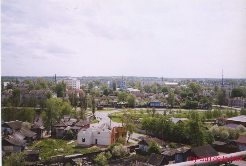 Вид на город с колеса обозрения