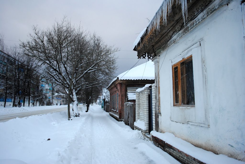 DSC_2793.jpg