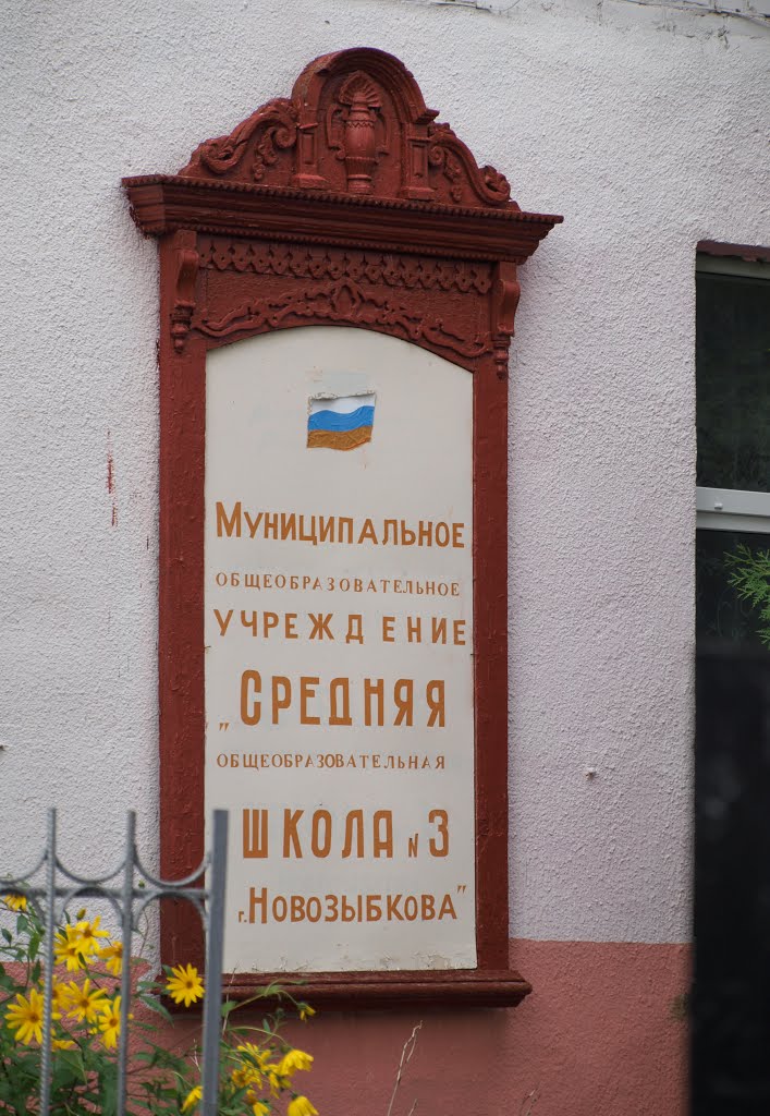 Школа № 3. Наличник / School #3. Platband